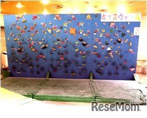 クライミングを体験「楽しむこと！ 頑張ること！達成すること！」