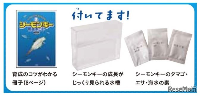 シーモンキー育成キット BOOK　セット内容