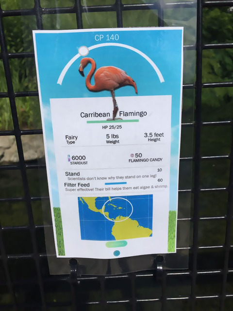 米動物園、実際の動物に『ポケモンGO』風のユニークな説明看板を作成