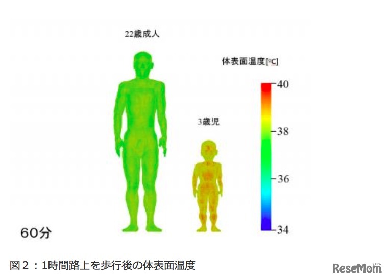60分間路上を歩行後の体表面温度（成人男性と幼児）