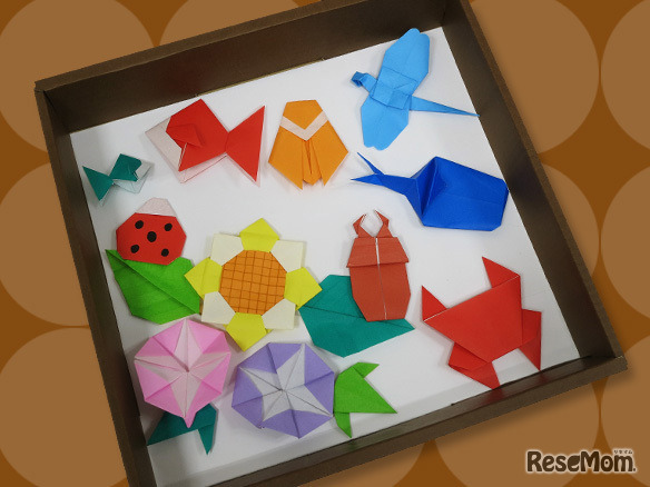 おりがみ教室（夏の生物標本）