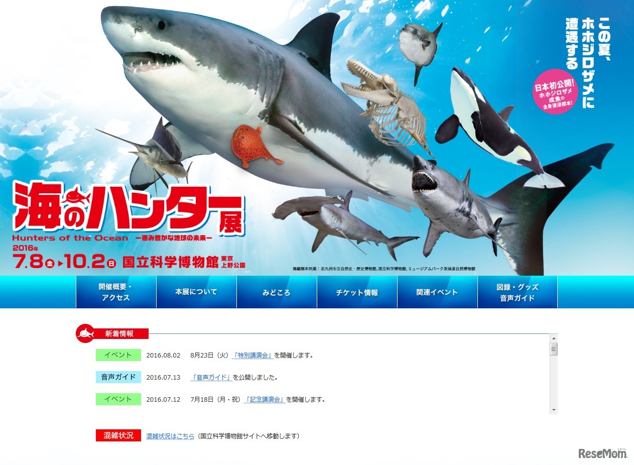 海のハンター展