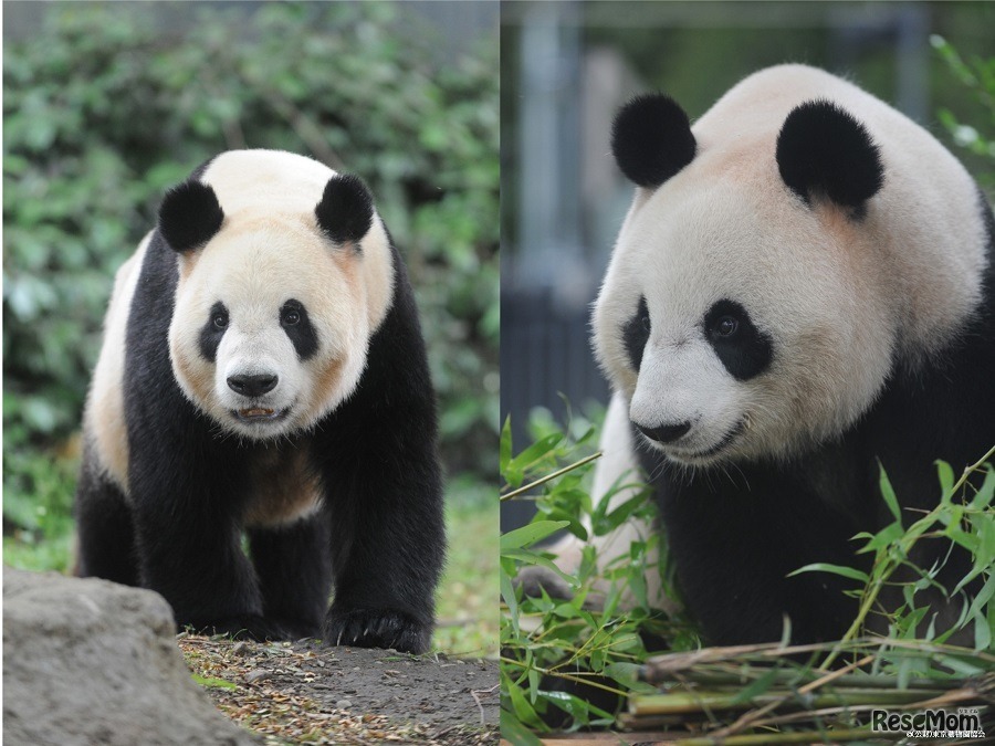 東京都恩賜上野動物園