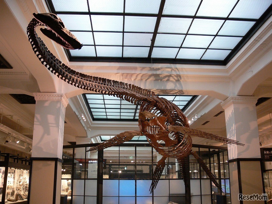 国立科学博物館
