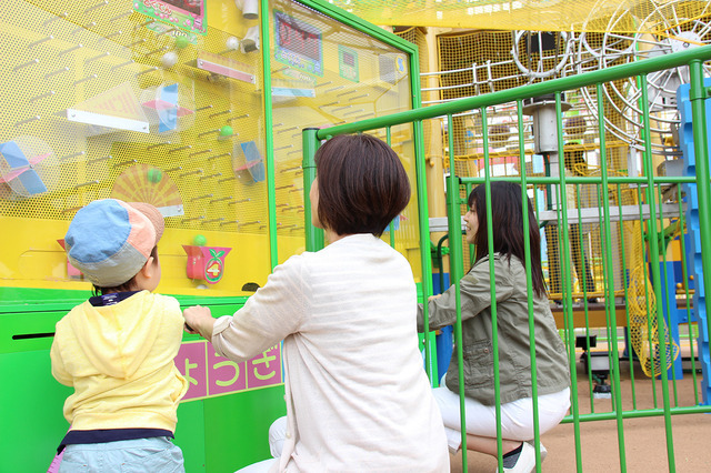 家族みんなで挑戦！　（ちえくらべ「たまゴロー」のようす）