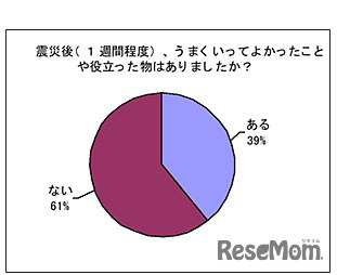 震災後、うまくいってよかったことや役立った物はありましたか？