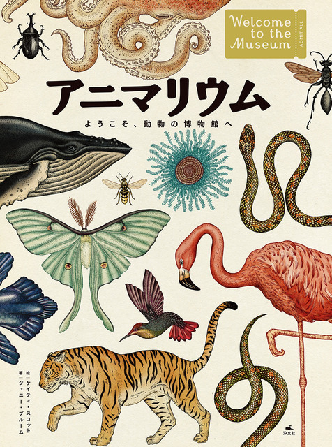 『アニマリウム』ジェニー・ブルーム 絵：ケイティ・スコット