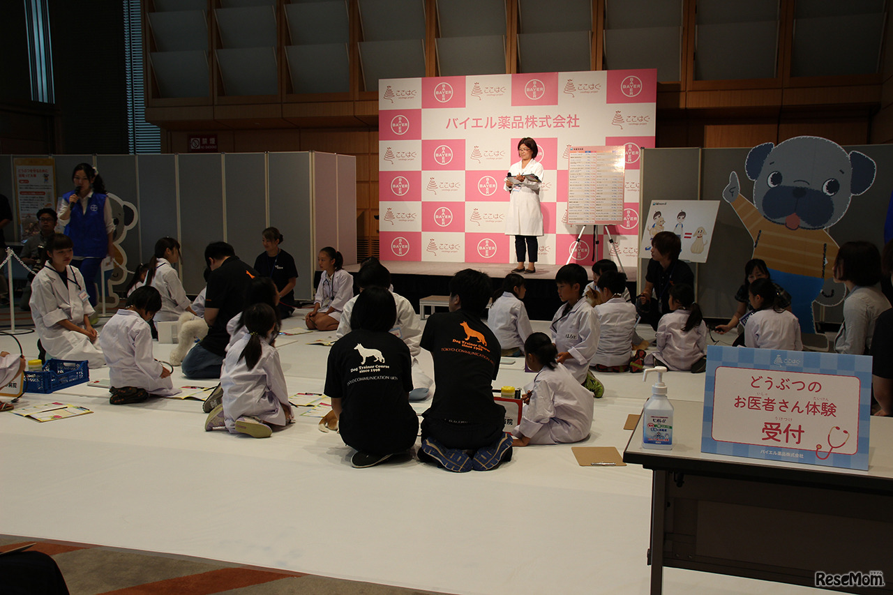 ホールBで行われた「わんちゃんの健康を守ろう！どうぶつのお医者さん体験」