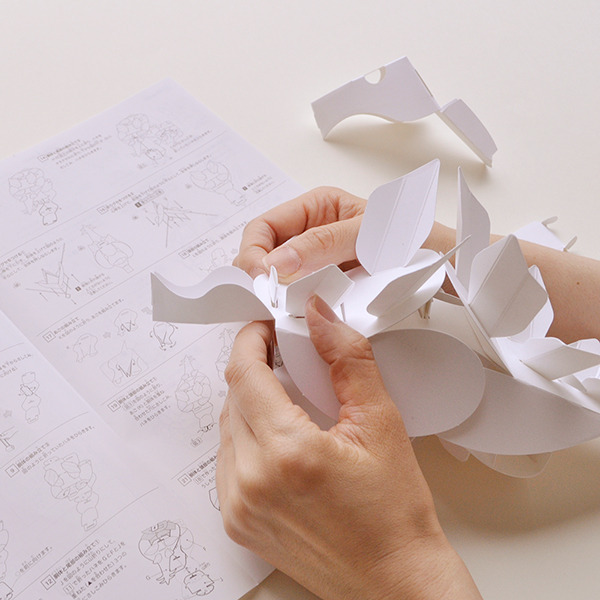 ステゴサウルスの組立て