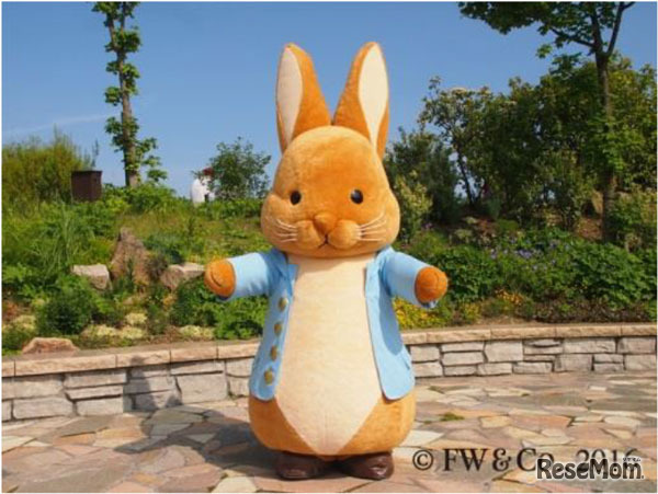 ピーターラビット