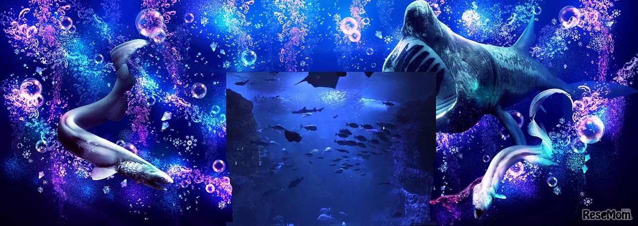 「そして、あなたは魚になる（相模湾ゾーン／相模湾大水槽）」パート2（イメージ）