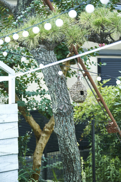 湘南日帰り旅。秘密にしておきたい！湘南の家具屋のカレー屋さん「カレーと家具。sii house」