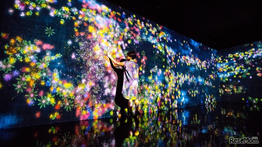 花と人、コントロールできないけれども、共に生きる