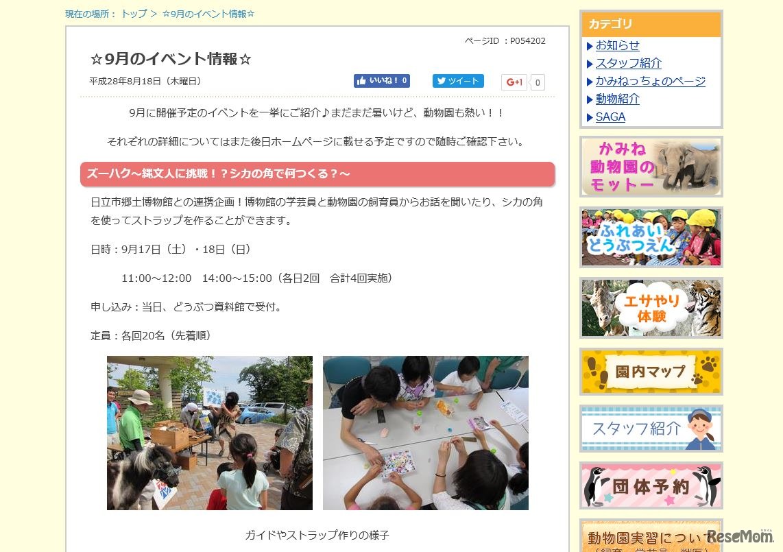 「ズーハク・ワークショップ　縄文人に挑戦!?シカの角で何つくる？」