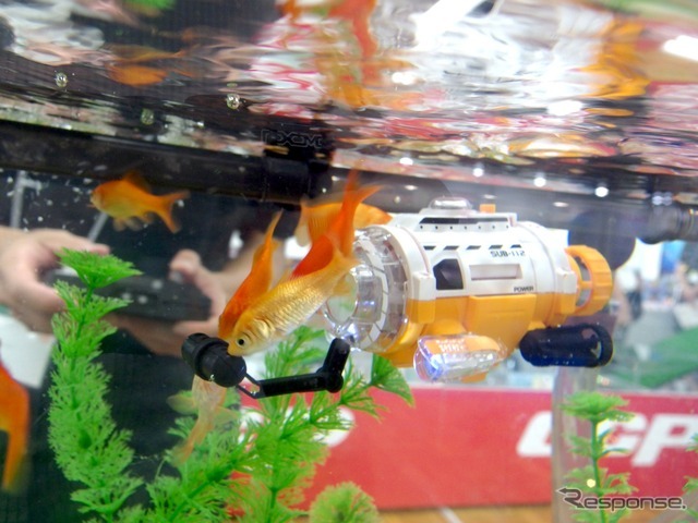 CCP、サブマリナー　カメラ