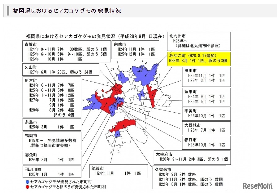 福岡県におけるセアカゴケグモの発見状況