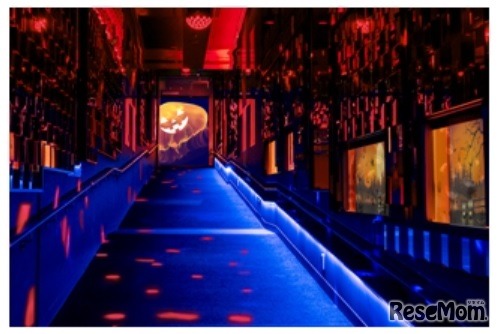 クラゲとハロウィーン（イメージ）