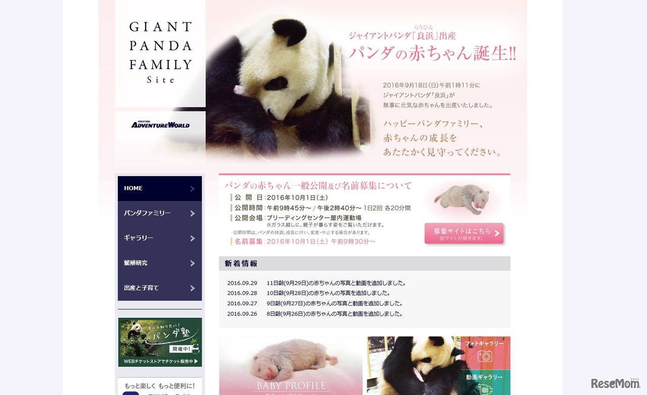 アドベンチャーワールド　ジャイアントパンダファミリー