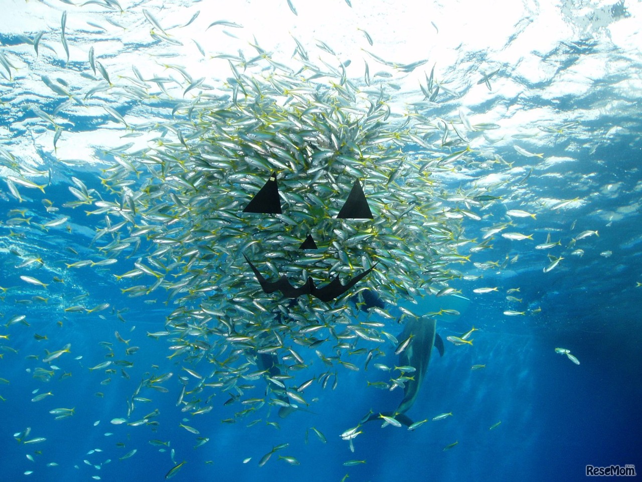 ハロウィンファンタジー