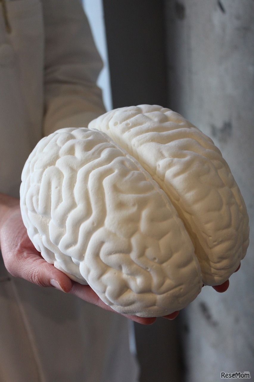 「PARTY BOX」の特典の「実物大?!脳みそマシュマロ」プレーン味