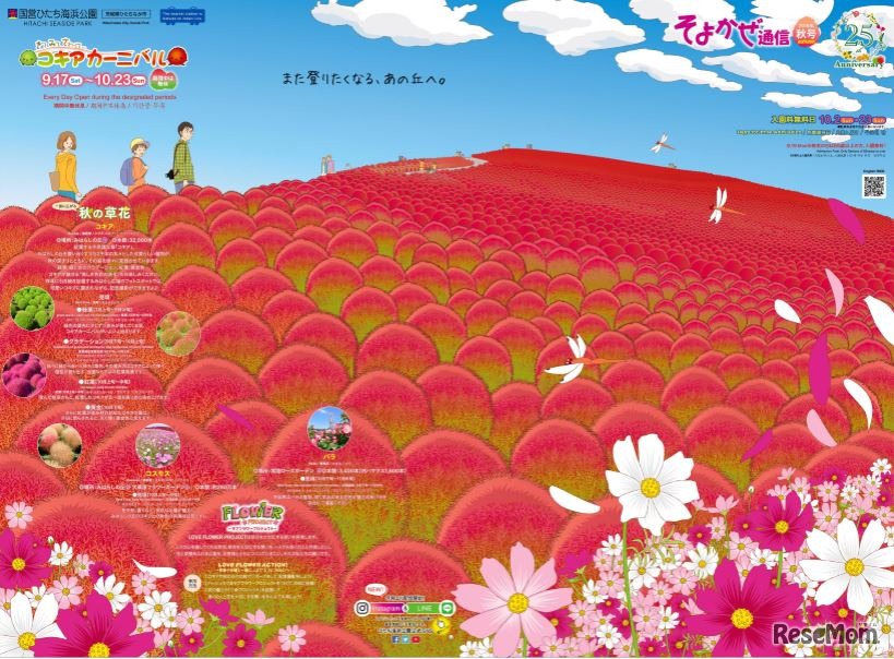 コキアカーニバル