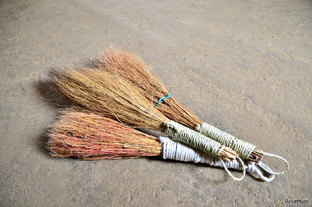 コキアのホウキ