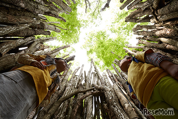 森のなかにはクヌギやコナラが立ち並ぶ