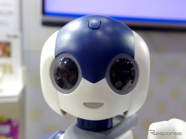 タカラトミーもっとなかよしRobi jr.（ロビジュニア）　〈撮影　高木啓〉