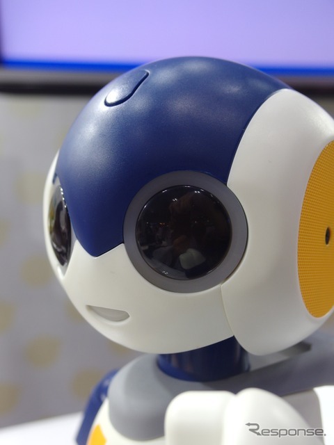 タカラトミーもっとなかよしRobi jr.（ロビジュニア）　〈撮影　高木啓〉