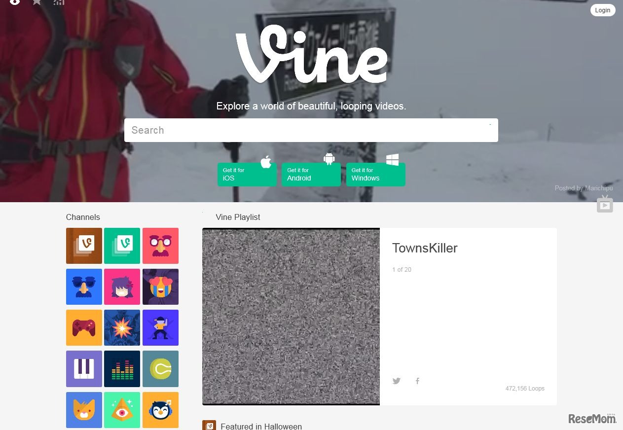 Vine