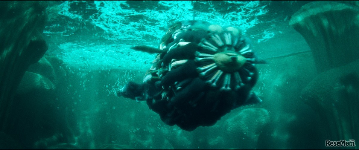 狼の組体操のワンシーン　コウノトリ大作戦！2016年11月3日（木・祝）全国ロードショー　ワーナー・ブラザース映画　(C)2016 WARNER BROS. ENTERTAINMENT INC.