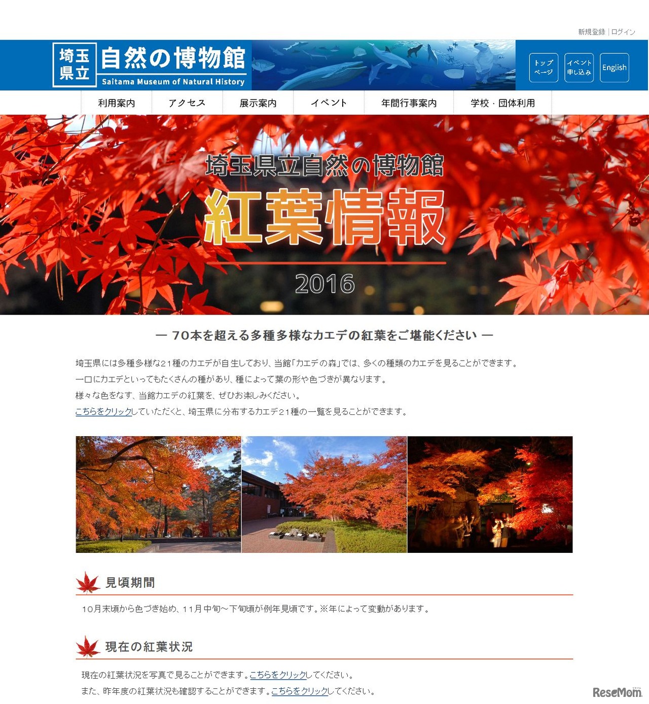 紅葉情報2016　埼玉県立自然の博物館