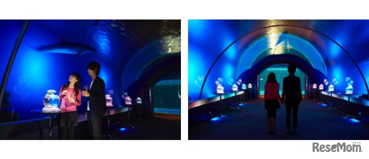 ナイトラウンジ「Club D」