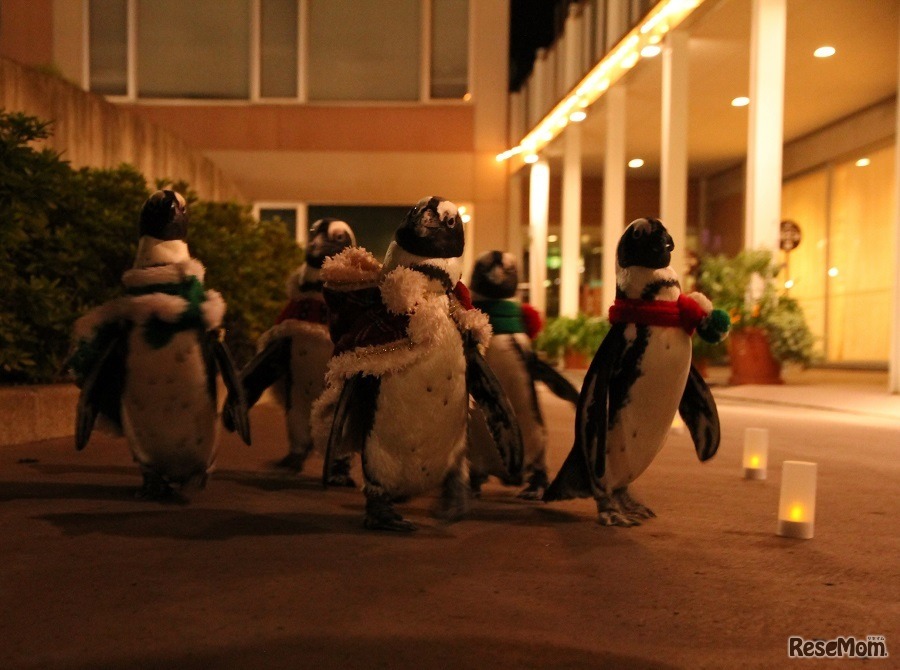 クリスマスペンギンパレード