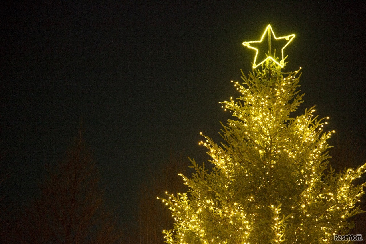 明治学院大学　白金キャンパス・ツリーの上には大きな星が点灯