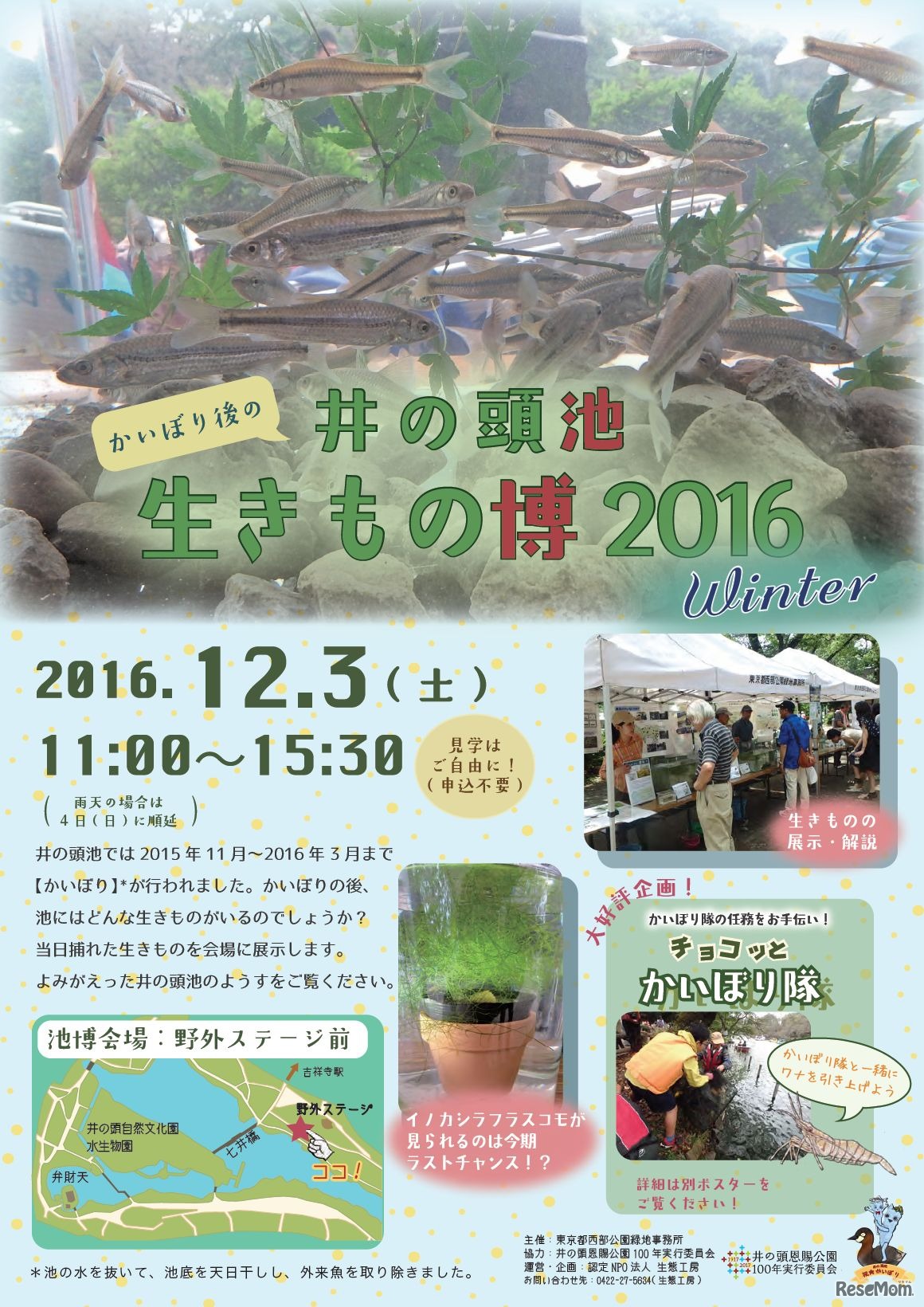 かいぼり後の井の頭池　生きもの博2016 Winter