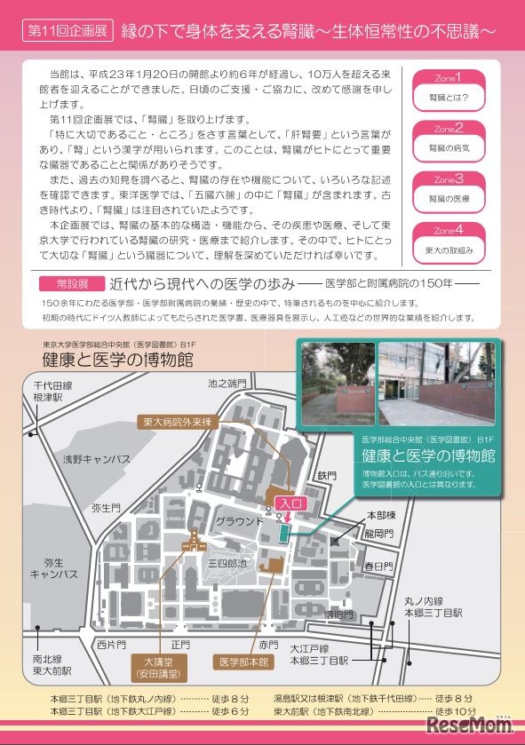 第11回企画展「縁の下で身体を支える腎臓―生体恒常性の不思議―」