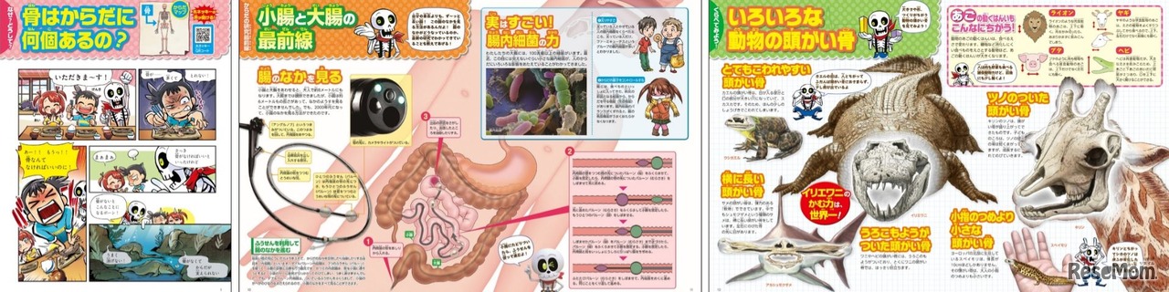 おしえて！おしゃべりガイコツ 内容