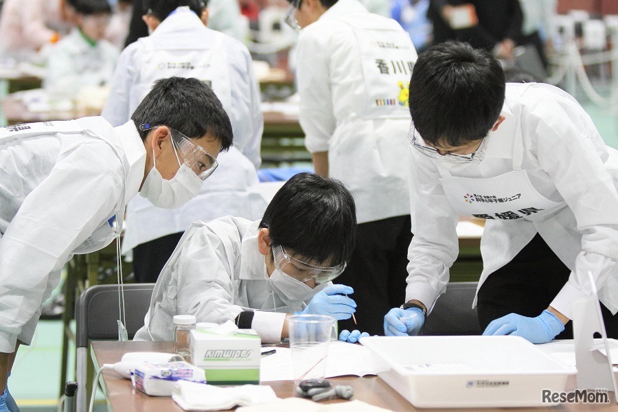 実技競技（1）クロマトグラフィーで色素分析