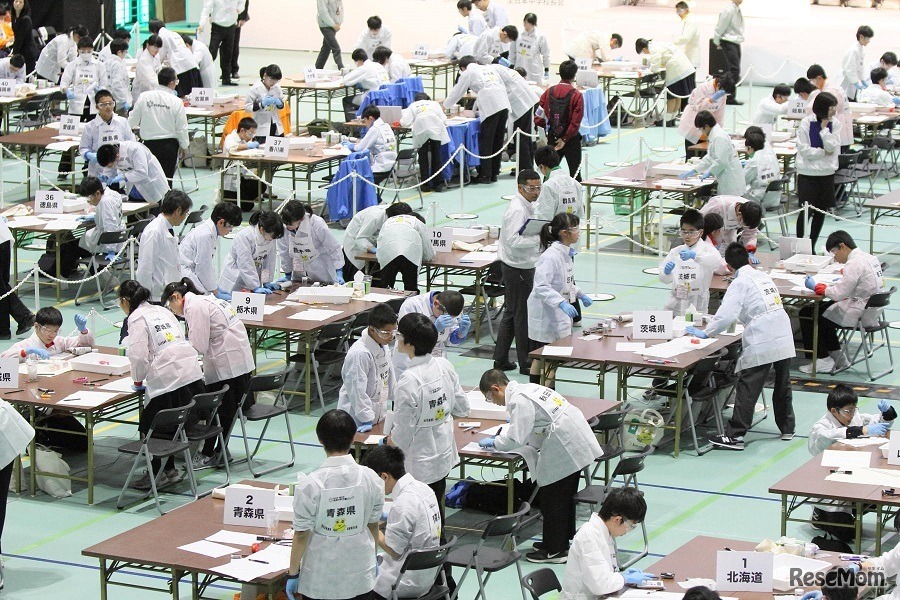 実技競技（1）クロマトグラフィーで色素分析