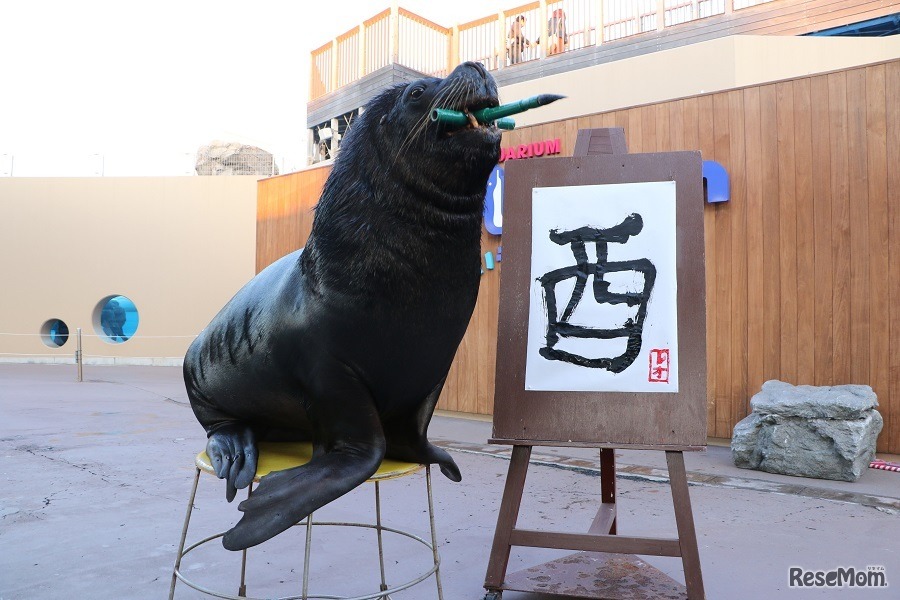 毎年人気のオタリアによる書初め