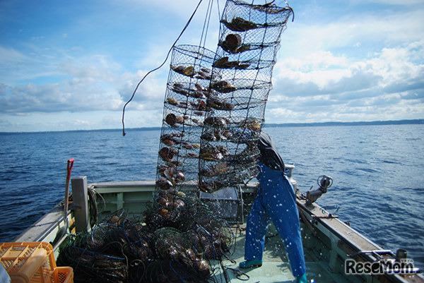 学校によってこんなに違う！一風変わったカリキュラムを持つ私立中学校（画像はイメージです）