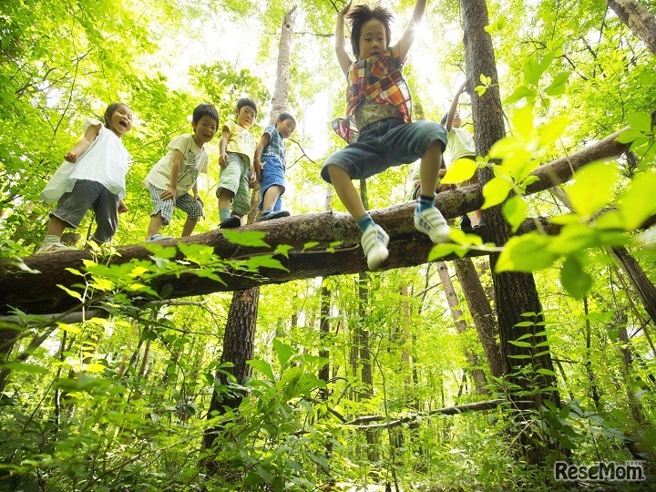 星野リゾート「森いく」スタート（画像はイメージ）
