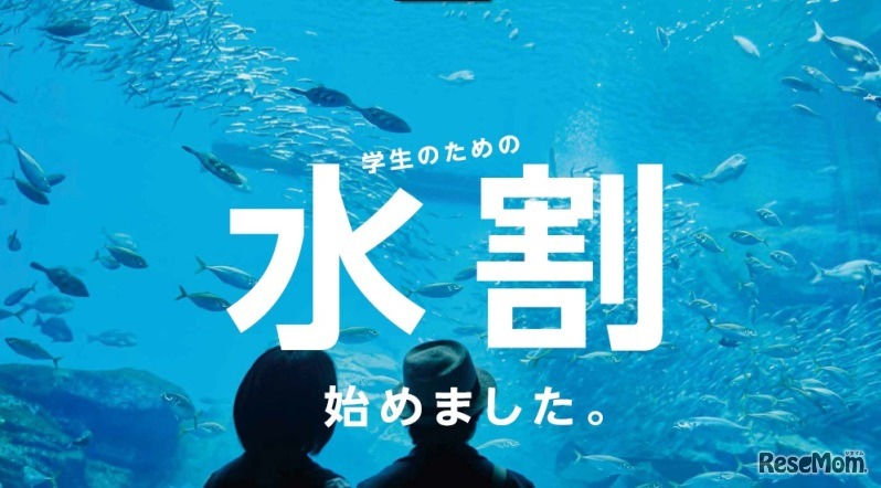 仙台うみの杜水族館　学生のための割引キャンペーン「水割」