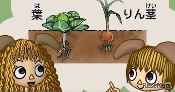 「玉井式 国語的理科教室」教材イメージ画像