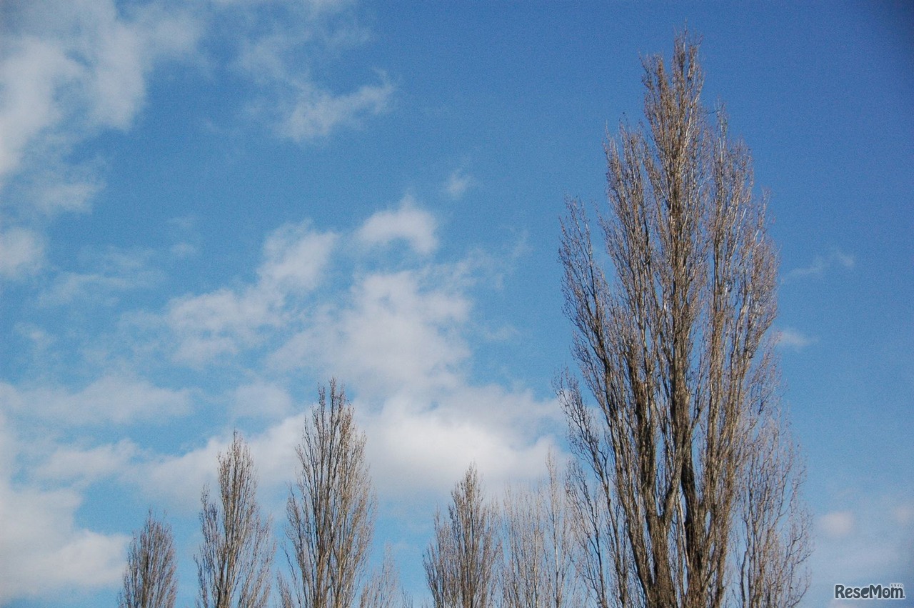 画像はイメージです