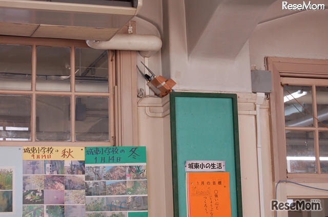 教室中央付近の廊下側上部に設置されたアクセスポイント