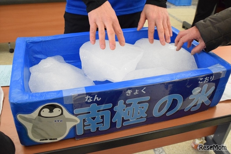 南極から届いた本物の「南極の氷」