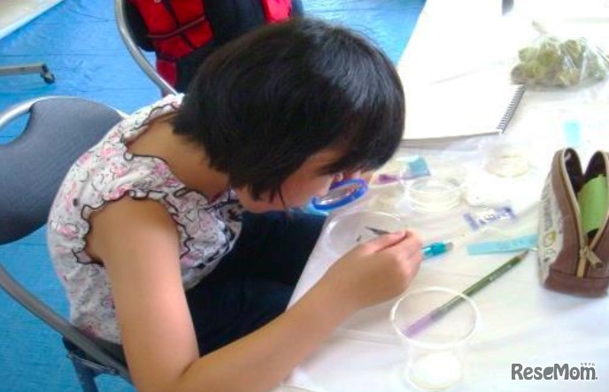 過去の開催時のようす