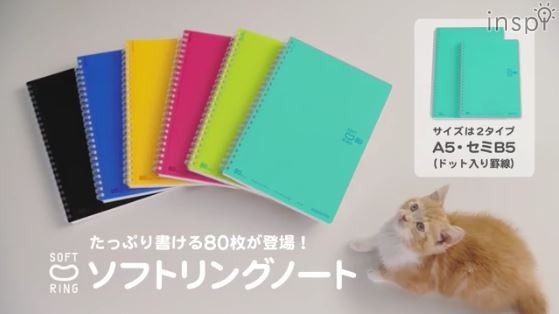 たっぷり書ける80枚が登場